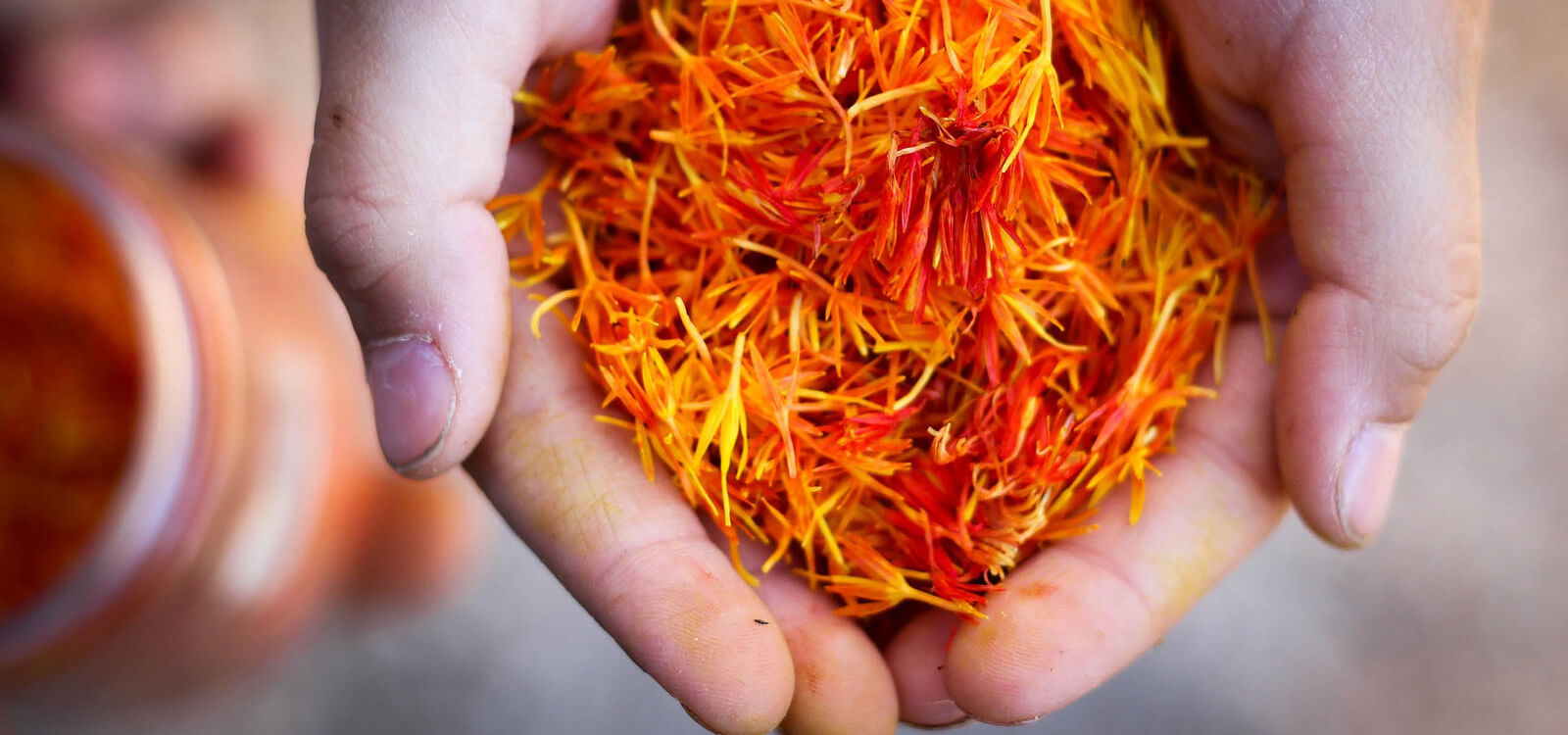 Saffron Stigma Health Benefits and Ayurvedic Medicinal Uses PIOR