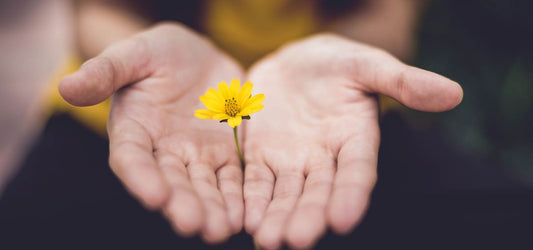 flower in hands