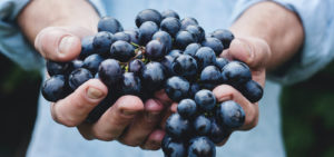 man holding berries practicing ayurveda food combining