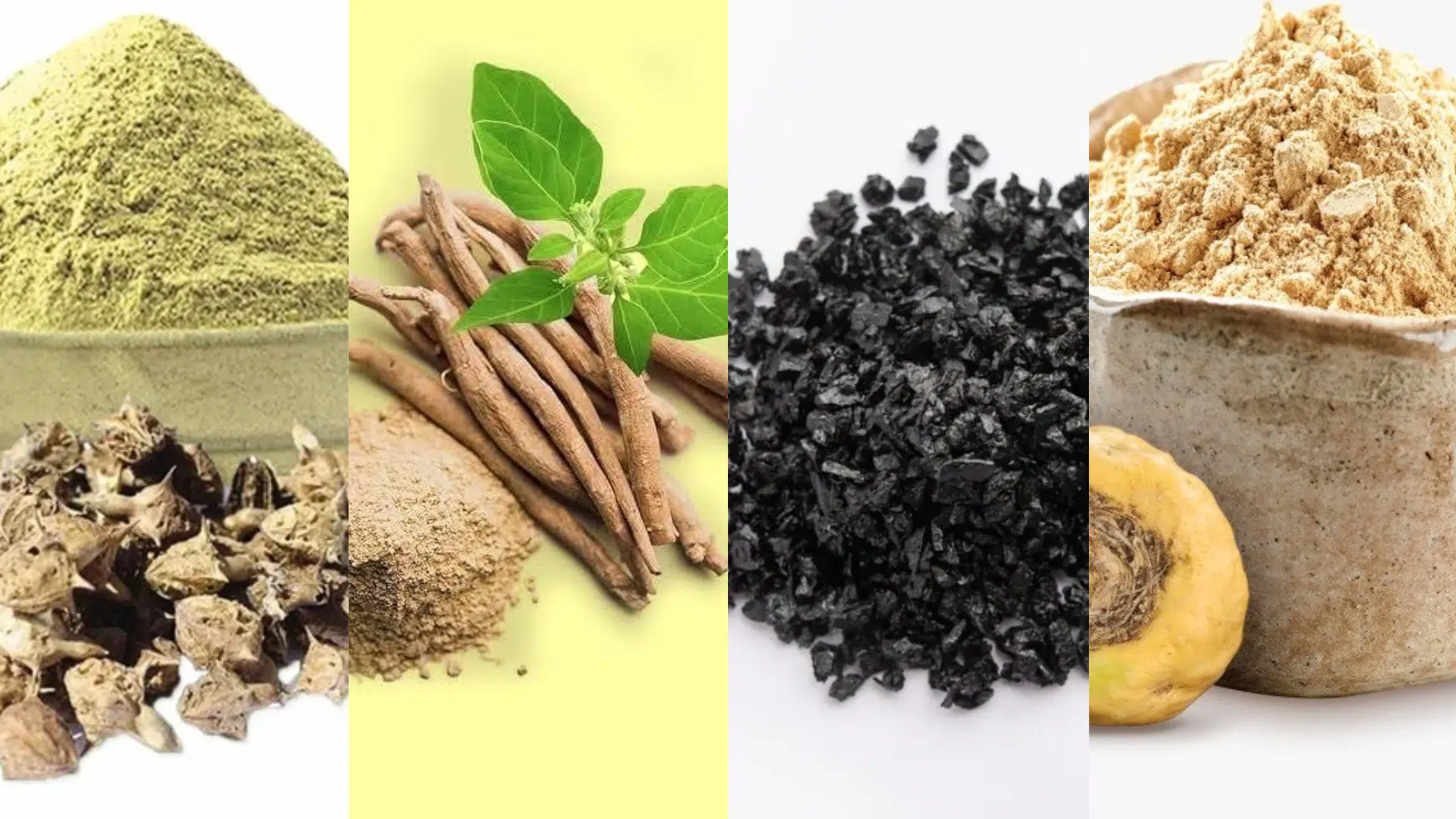 Best Herbal Blends to Use With Gokshura