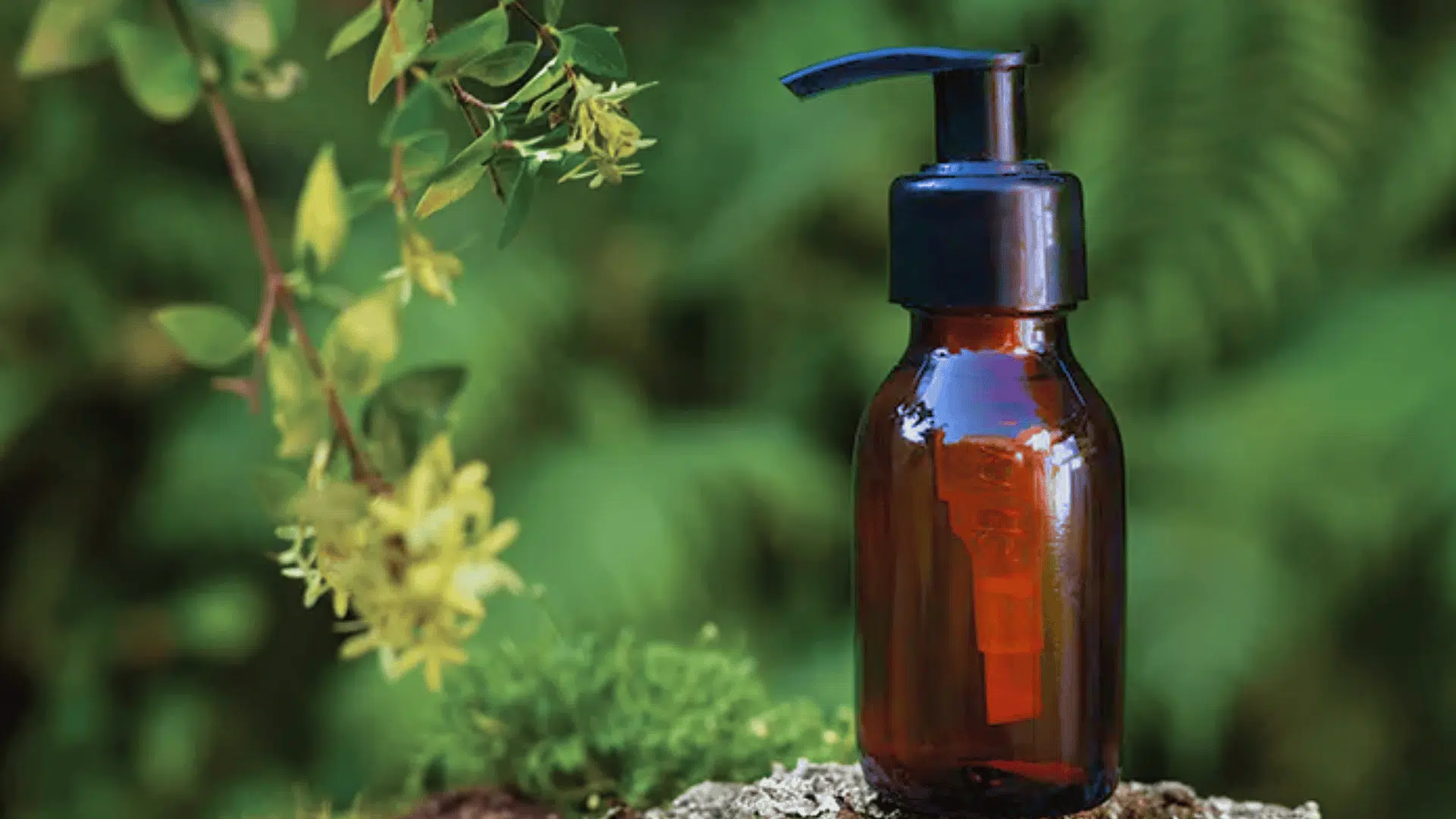 Bhringraj Oil- Benefits and Side-effects