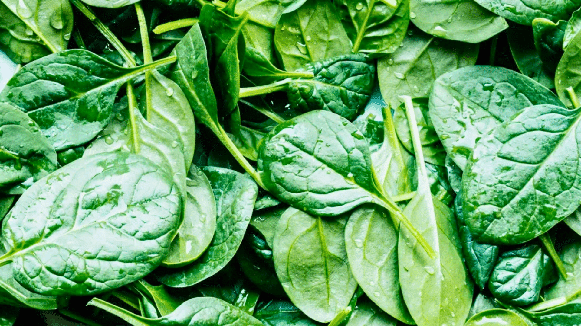 Spinach