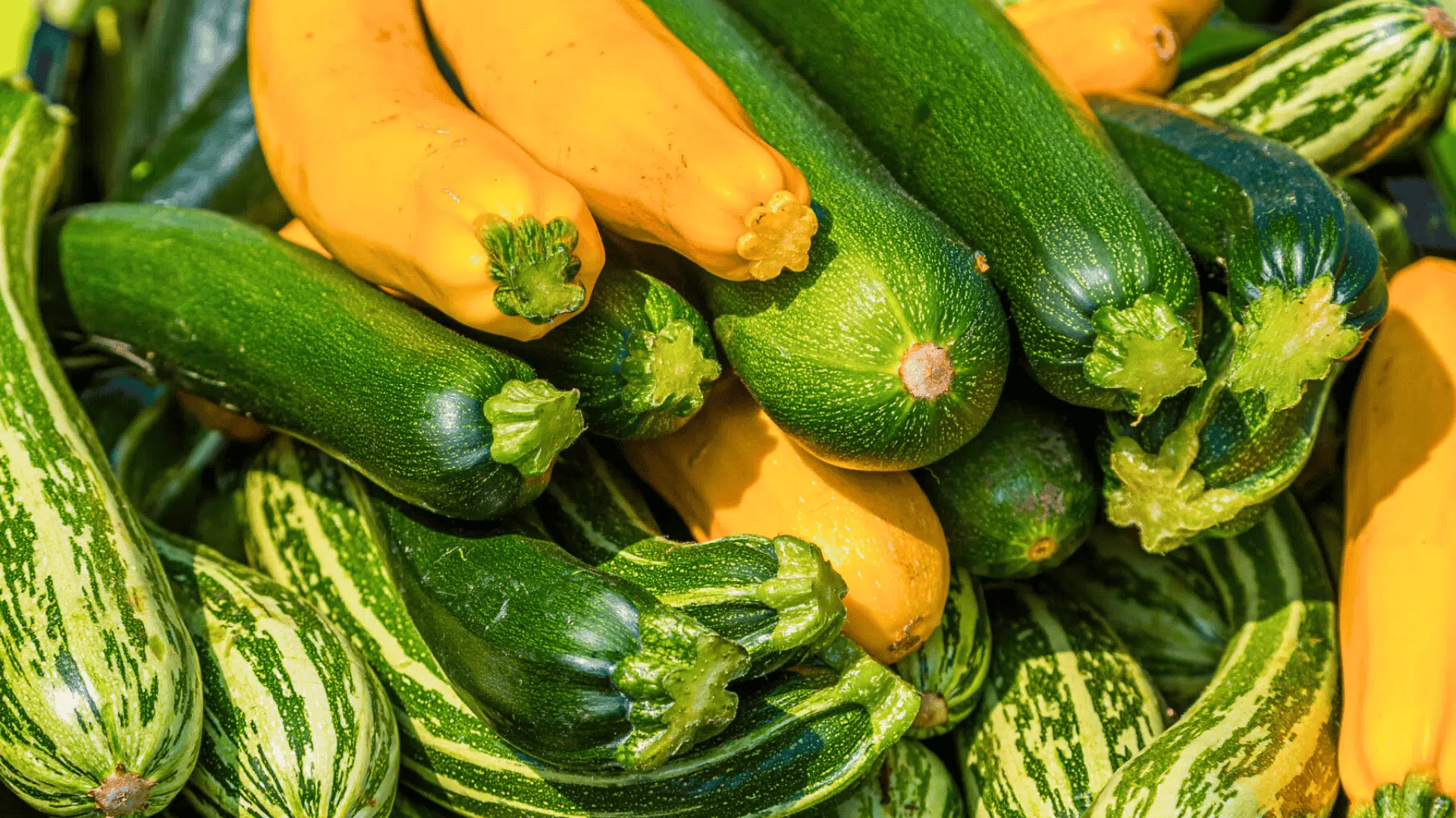 pile of fresh zucchini and yellow squash with green striped varieties, showing smooth skins and bright summer colors