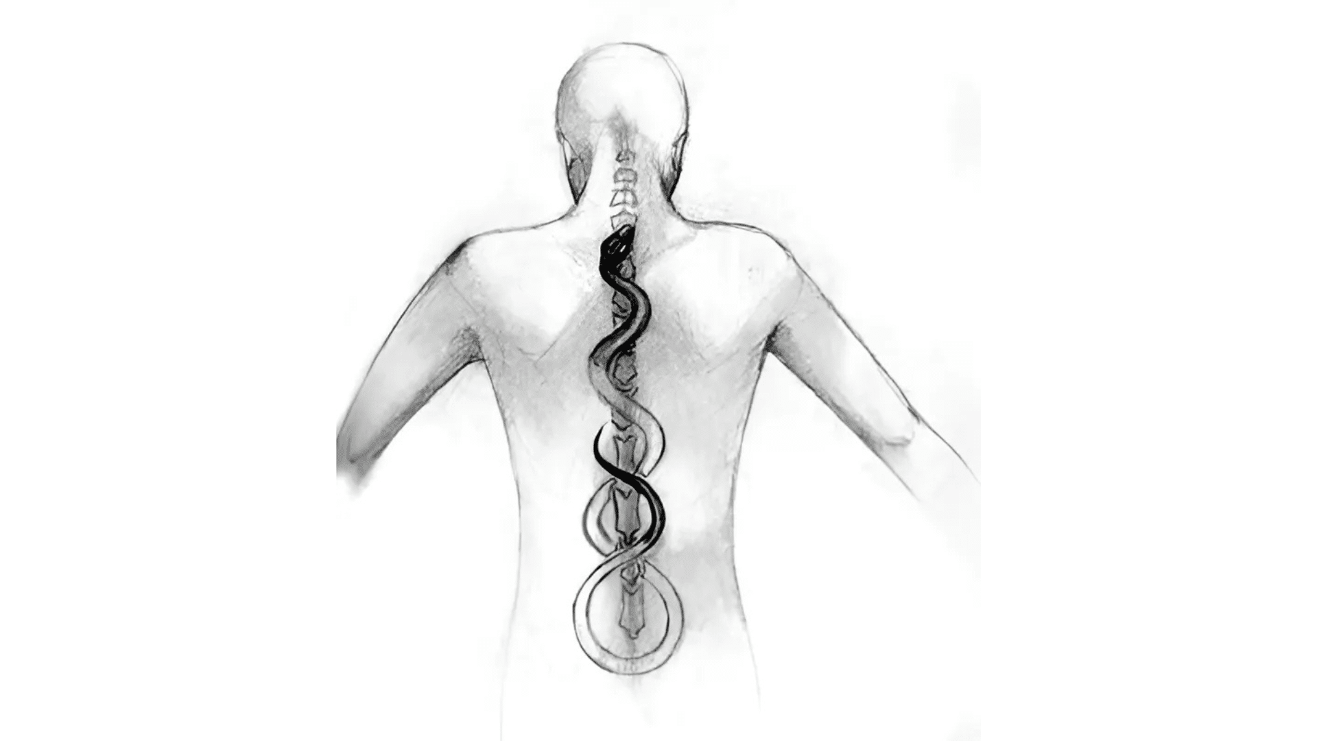 the symbolism of the serpent png