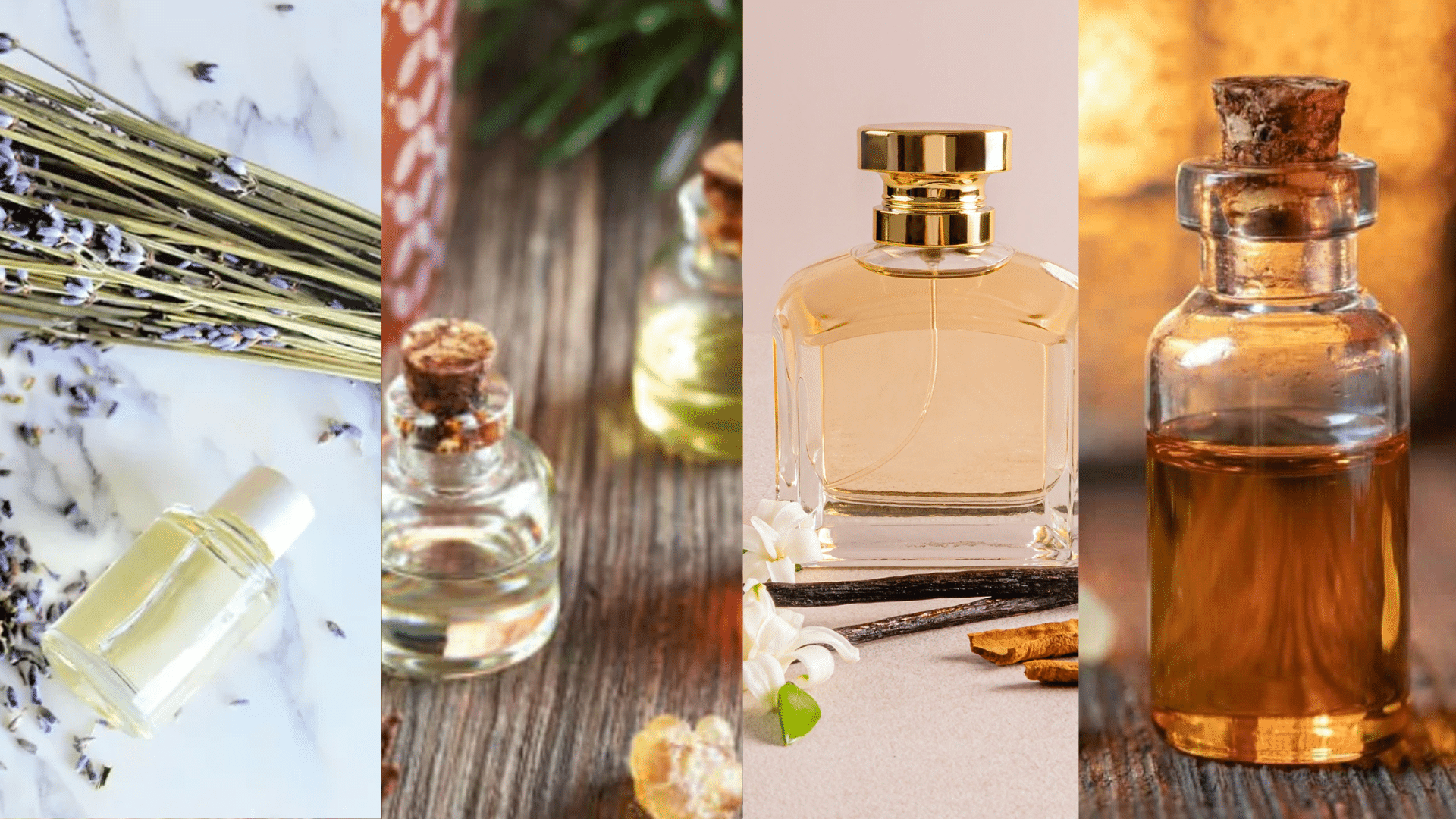 type-of-scents (1)