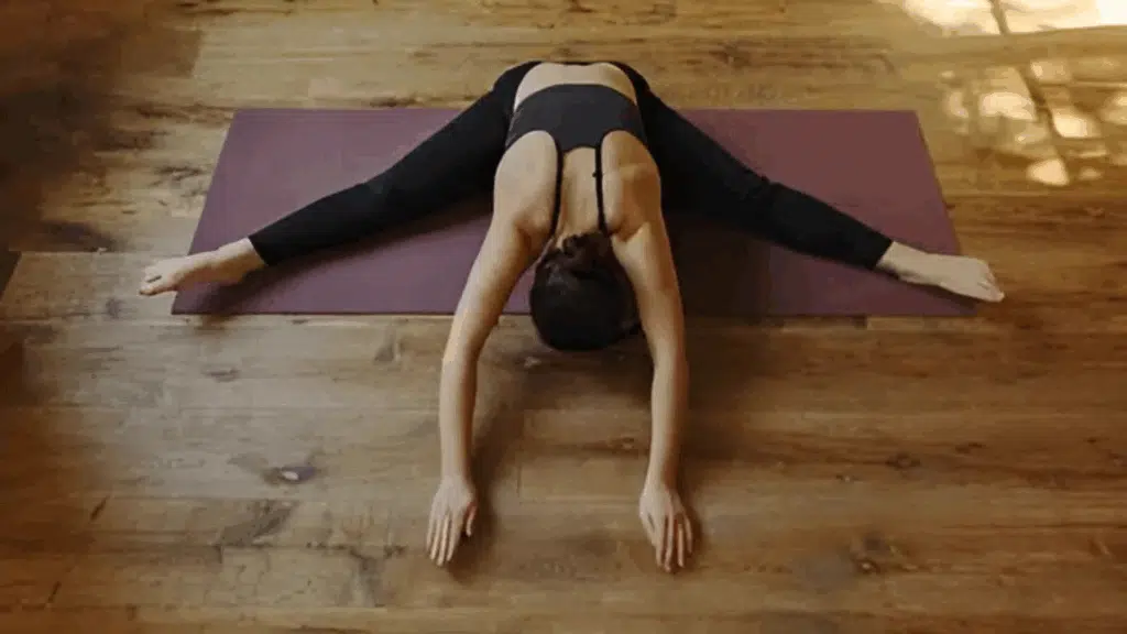 upavistha konasana.png