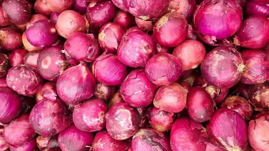 a dense pile of vibrant red onions with papery skins and dry, rooted ends