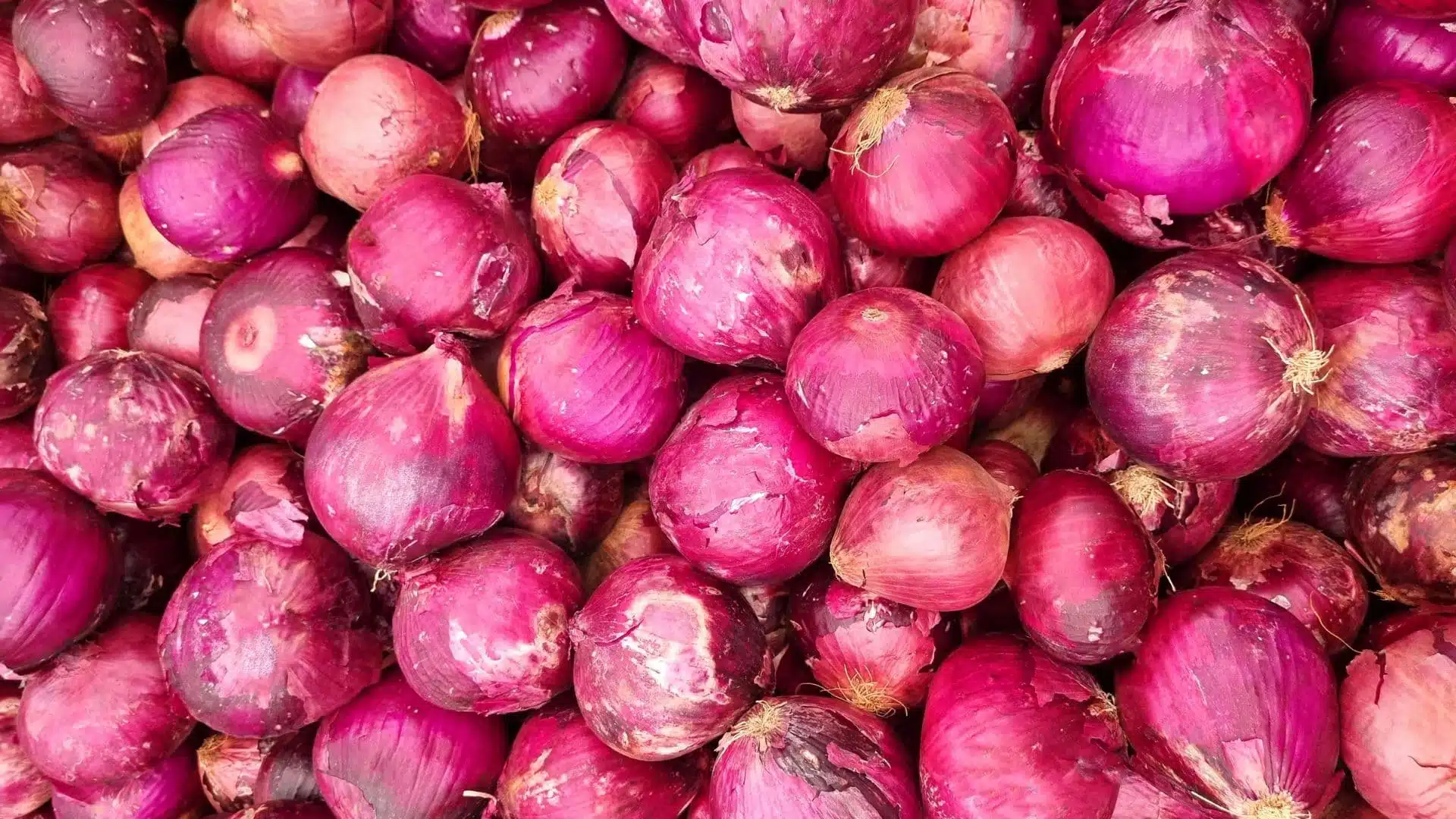 a dense pile of vibrant red onions with papery skins and dry, rooted ends