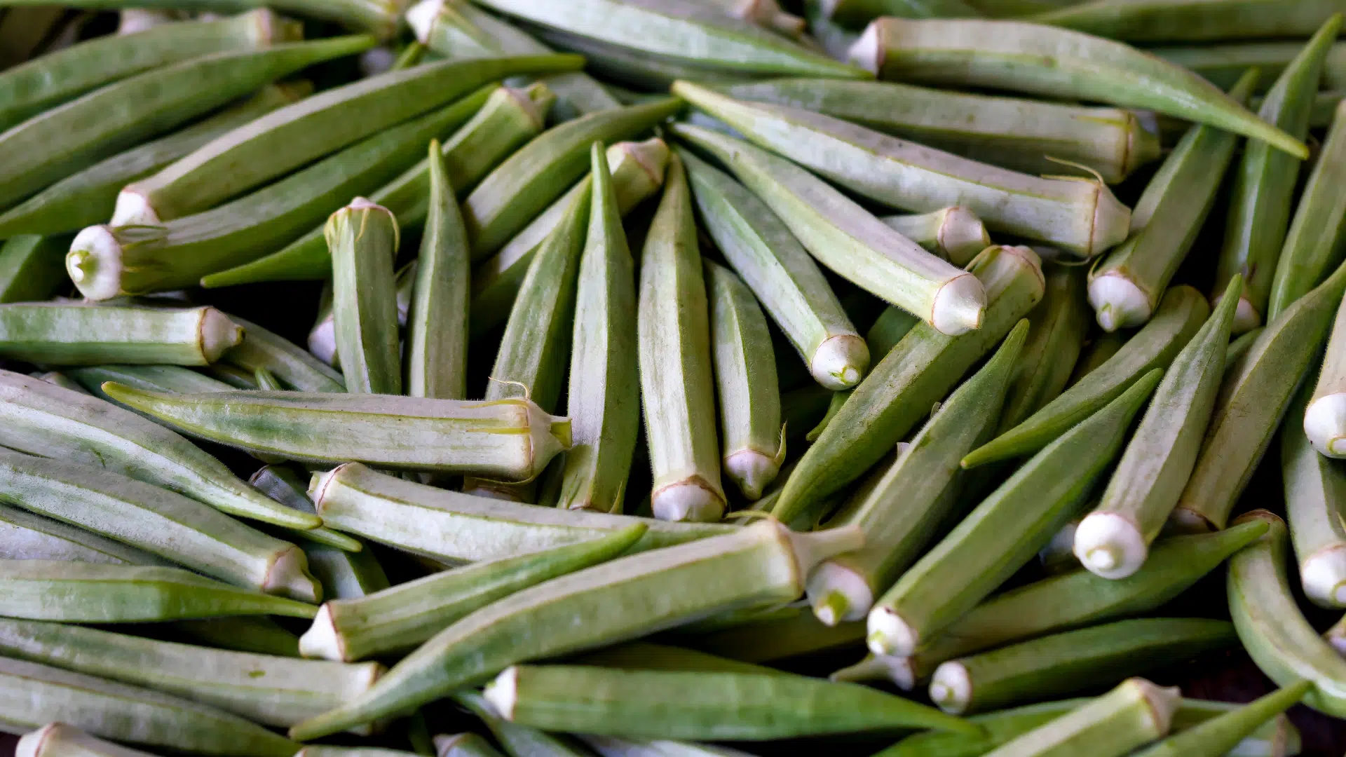 a pile of fresh, green okra pods with a fuzzy texture and ridged sides, shown in a close-up, detailed view