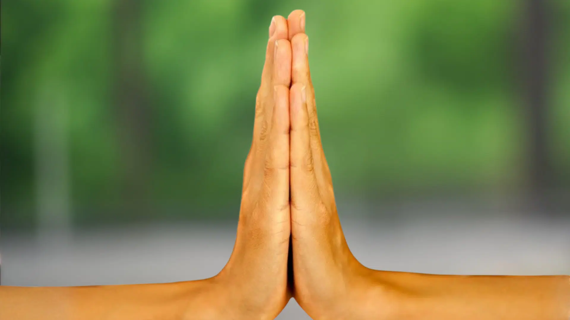 anjali mudra