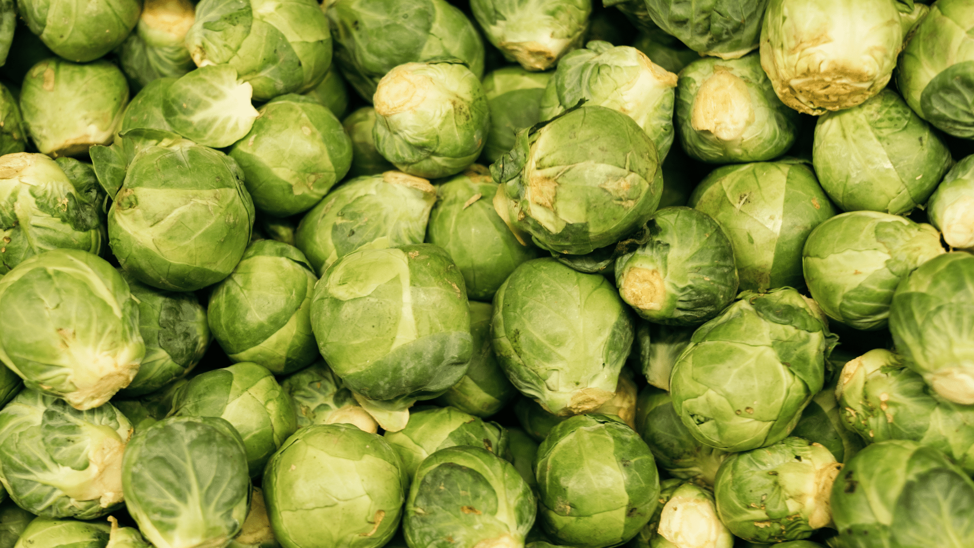 dense pile of vibrant, light green Brussels sprouts with tightly layered, waxy leaves fills the entire close-up frame