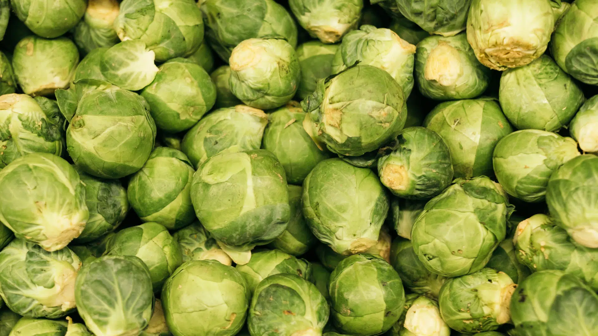 dense pile of vibrant, light green Brussels sprouts with tightly layered, waxy leaves fills the entire close-up frame
