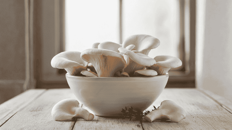 dried light brown sliced mushrooms are scattered across a dark wooden table in a professional studio shot