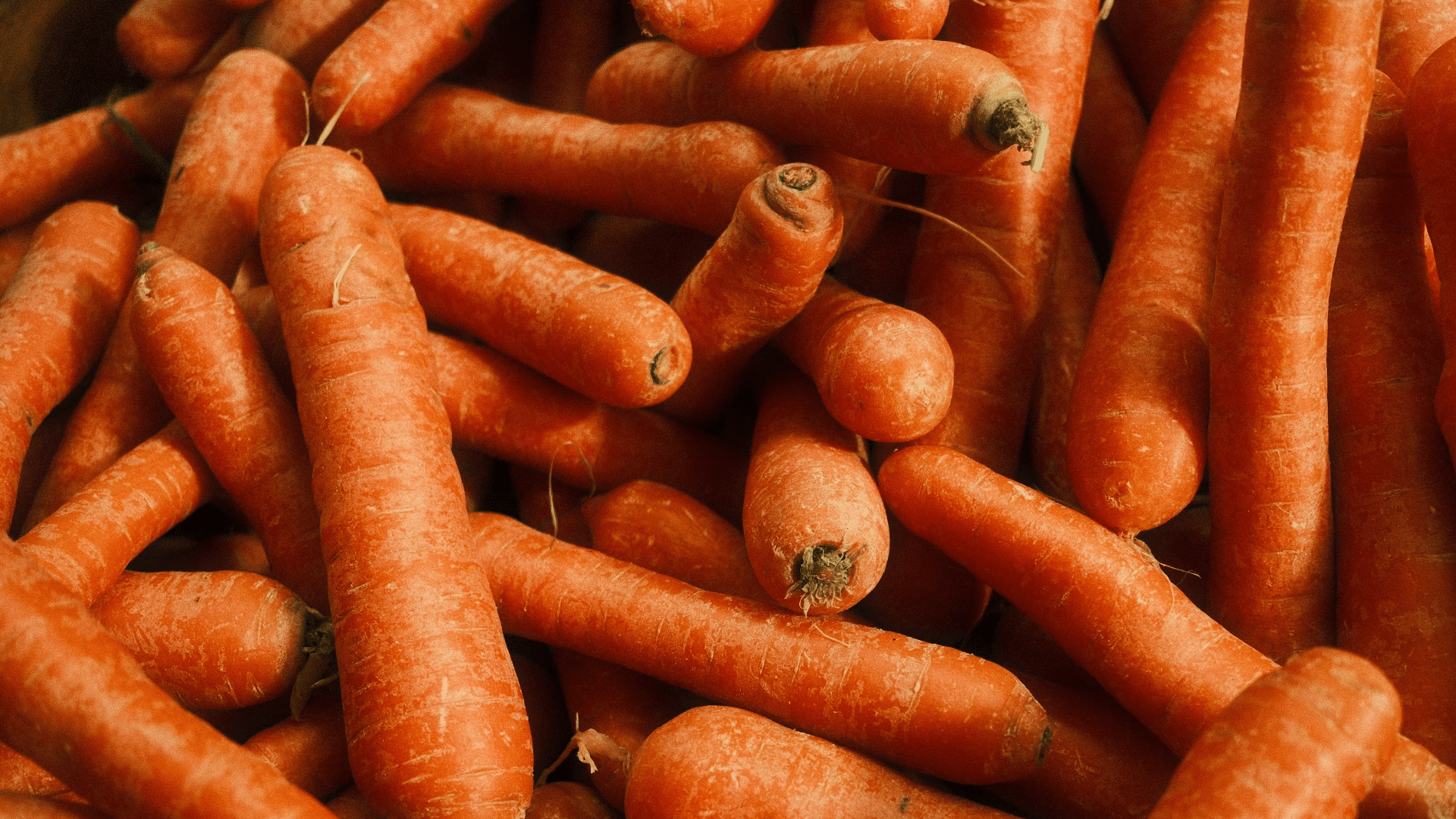 large pile of vibrant, unpeeled orange carrots with textured skins and earthy ends fills the entire frame in close-up