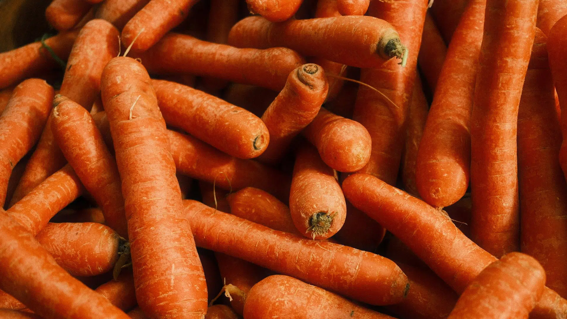 large pile of vibrant, unpeeled orange carrots with textured skins and earthy ends fills the entire frame in close-up