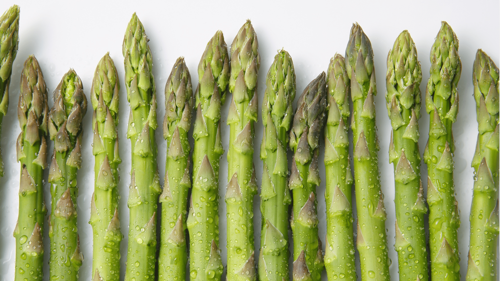 row of fresh, vibrant green asparagus spears covered in water droplets stands vertically against a clean white background