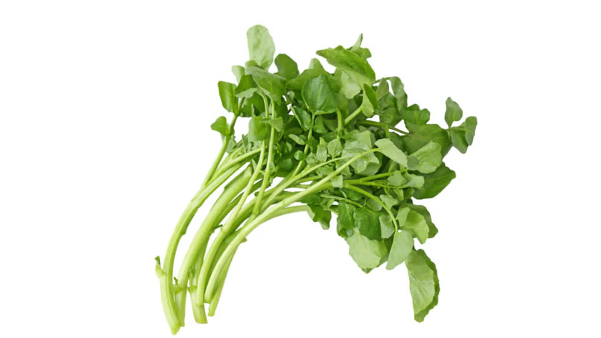 several small, compact green leafy heads resembling miniature cabbages, some spilling out of a dark bag onto a wooden surface