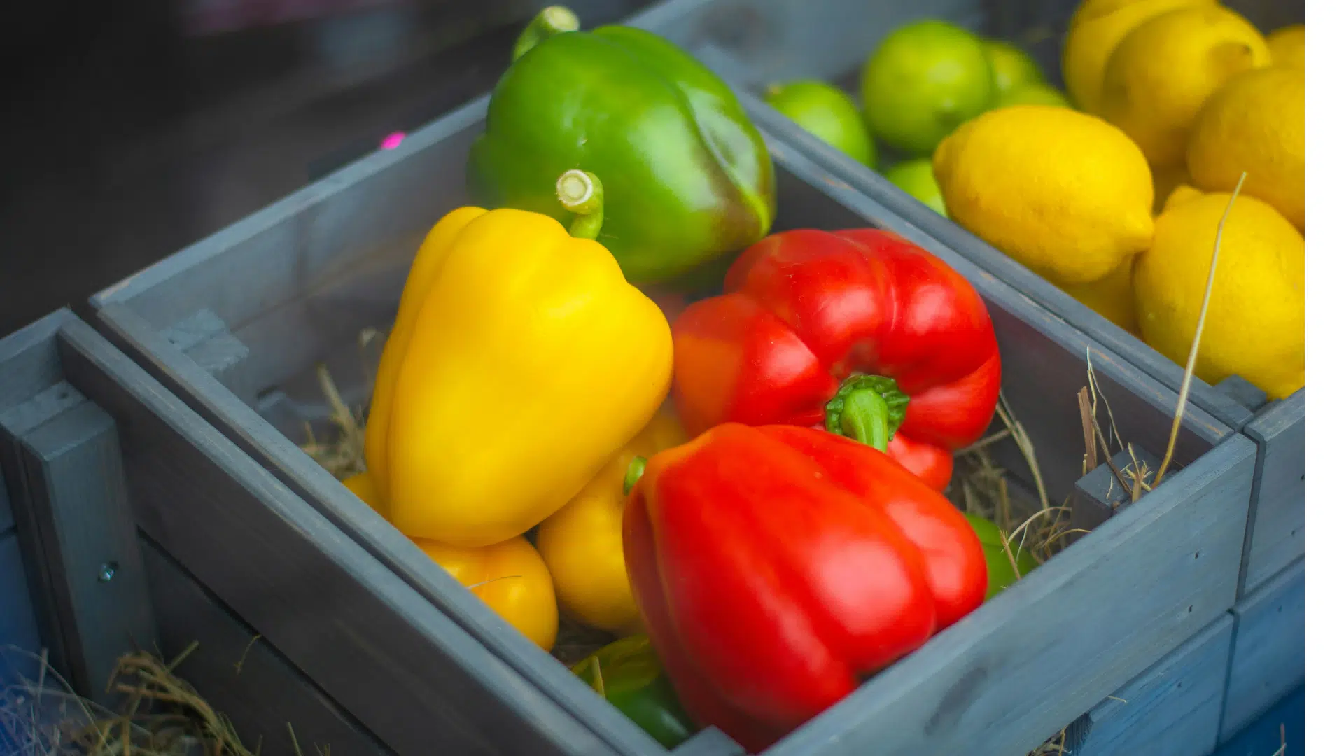 small gray wooden crate is filled with vibrant red, yellow, and green bell peppers resting on a bed of hay