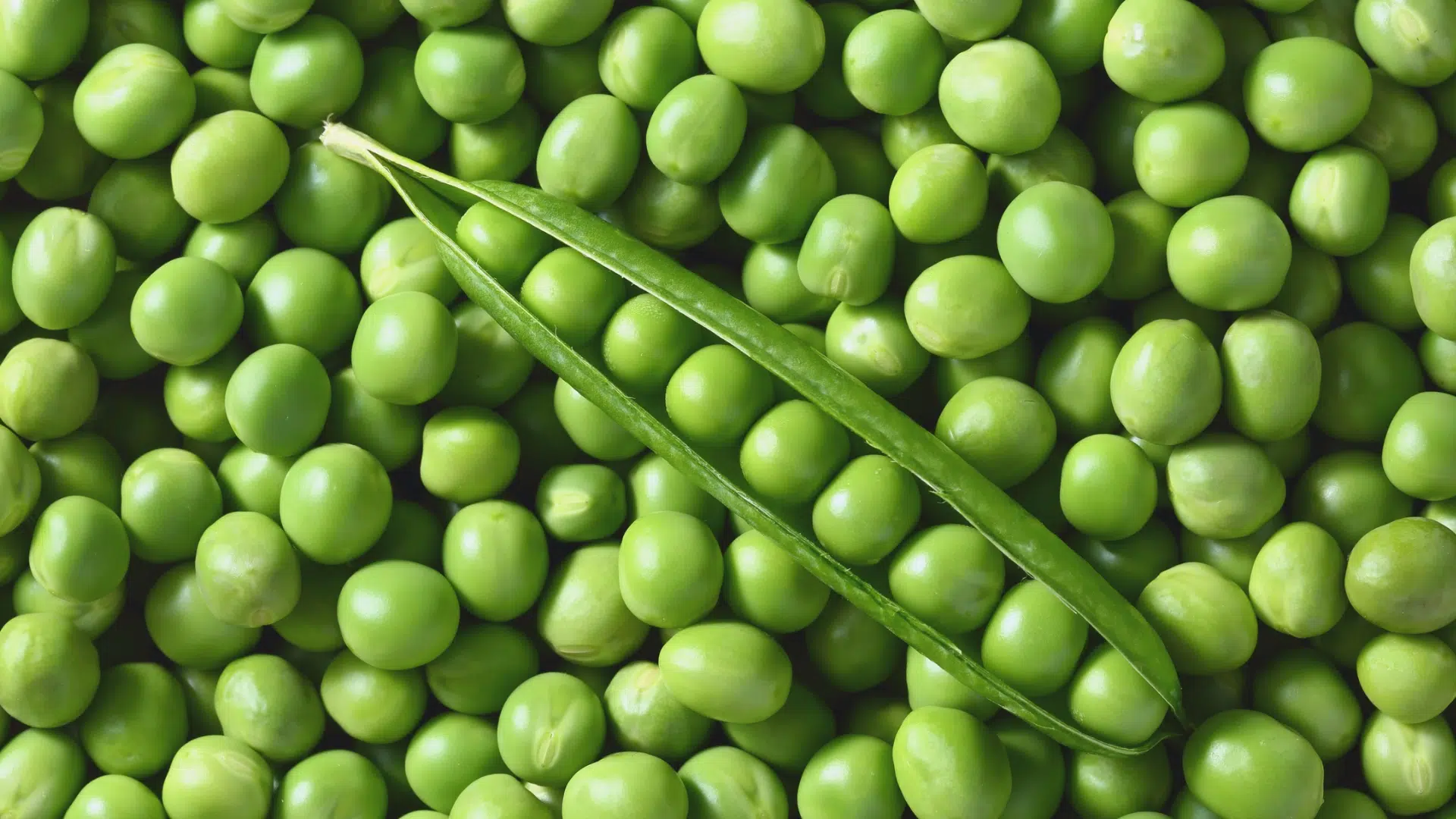 vibrant close-up shows a large pile of smooth, round green peas with one open pod revealing its internal seeds