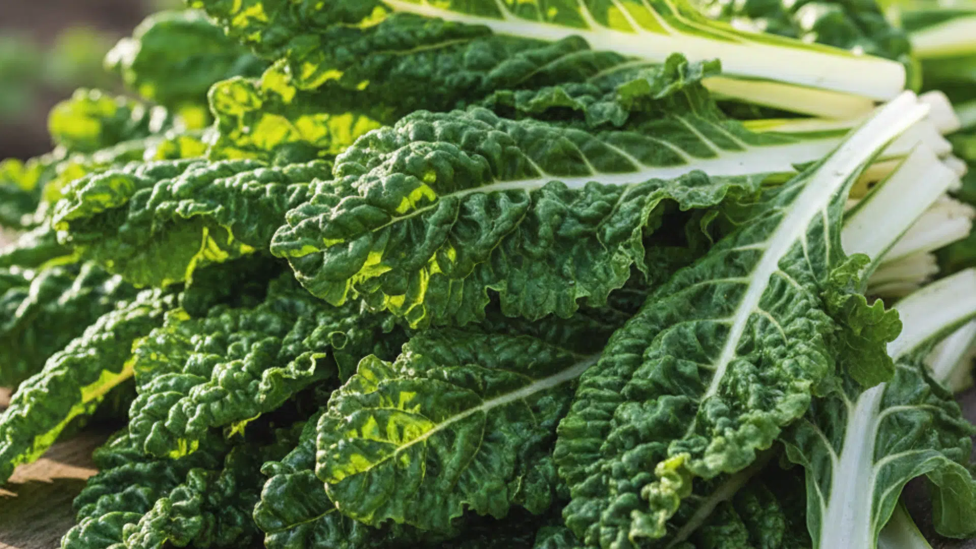 vibrant green, crinkled swiss chard leaves featuring prominent pale stalks and a highly textured, ruffled surface