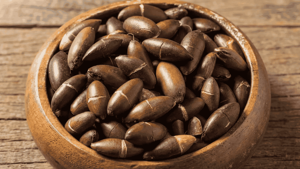 baru nuts in wooden bowl nutrient rich brazilian savanna nuts healthy snack ingredient high in protein and minerals