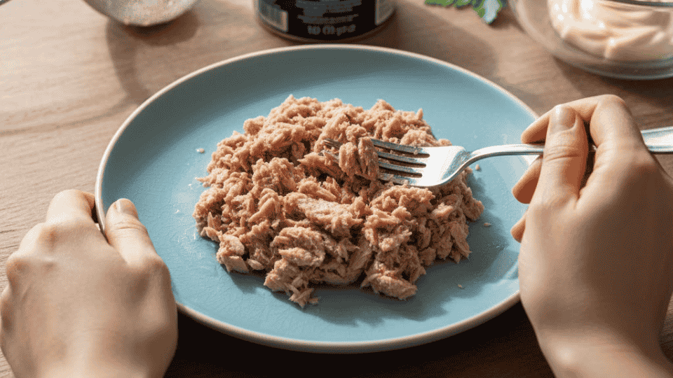 drained tuna flakes on a blue plate, a fork held in hand, with a strainer and open can in the background