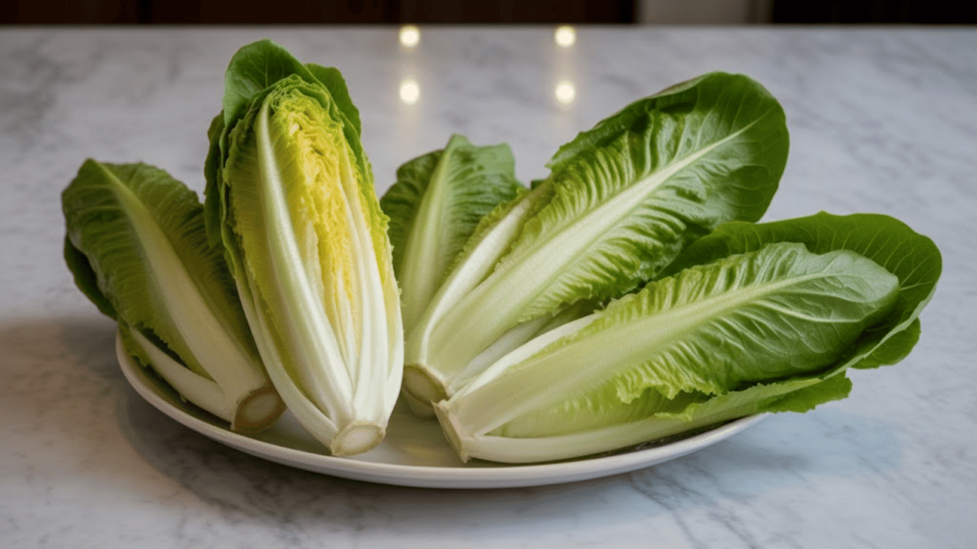 five pieces of romaine lettuce on a white ceramic plate on a white marble countertop with layers of the lettuce visible