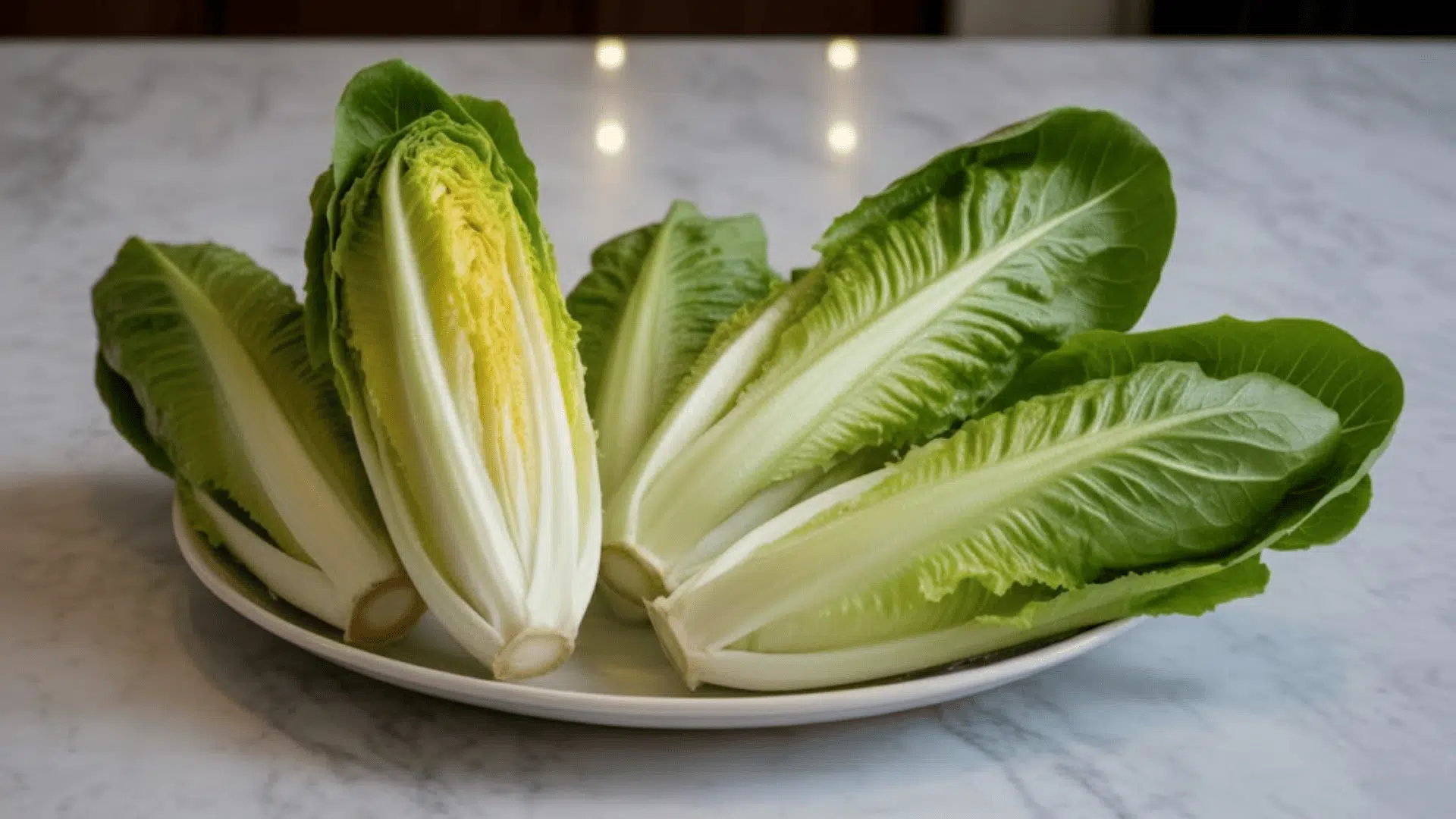 five pieces of romaine lettuce on a white ceramic plate on a white marble countertop with layers of the lettuce visible