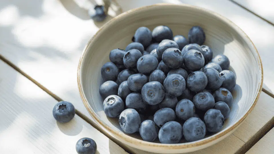 fresh blueberries in a bowl, a low histamine fruit option for sensitive diets