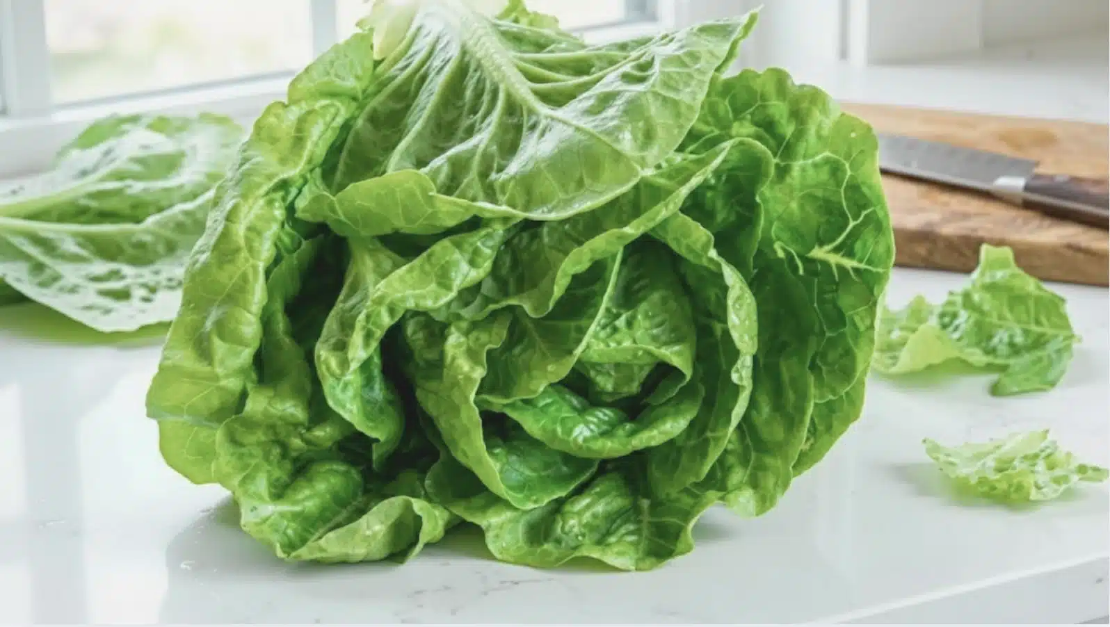 fresh head of green butter lettuce on white kitchen counter with cutting board and knife in background