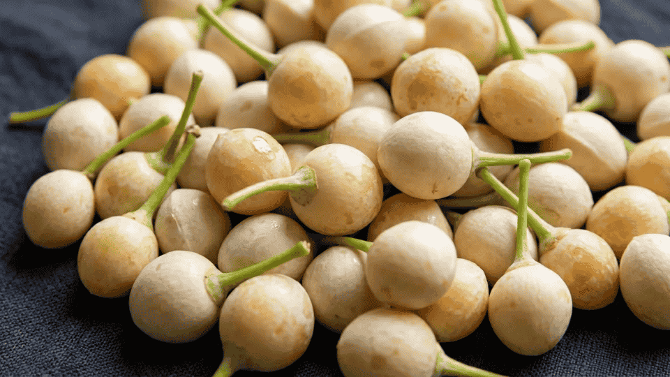 ginkgo nuts with stems on dark surface potassium rich nuts healthy ingredient for balanced diet and nutrition