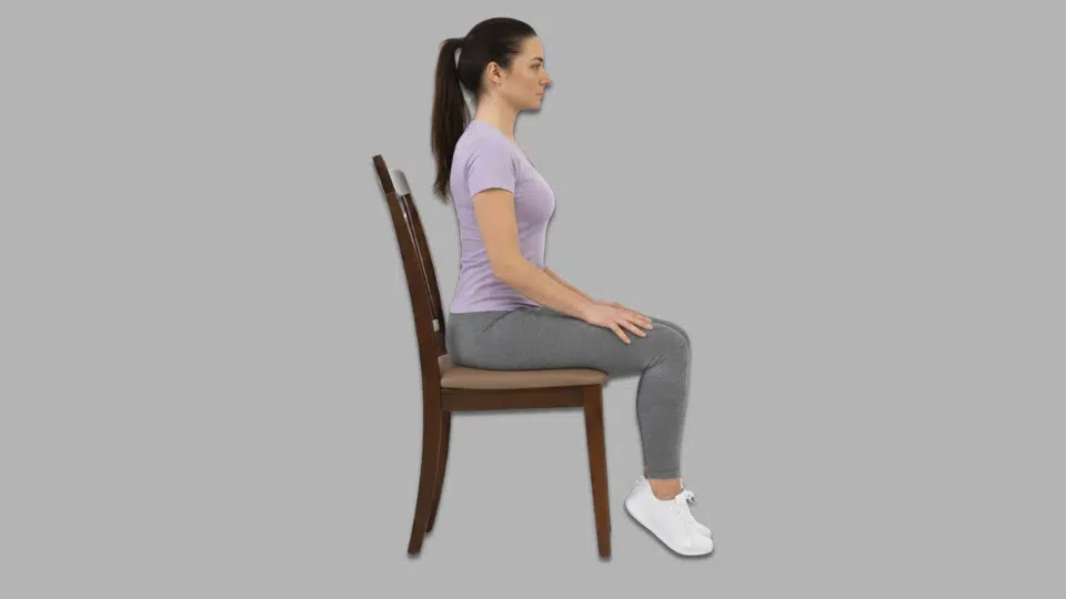 seated heel raises