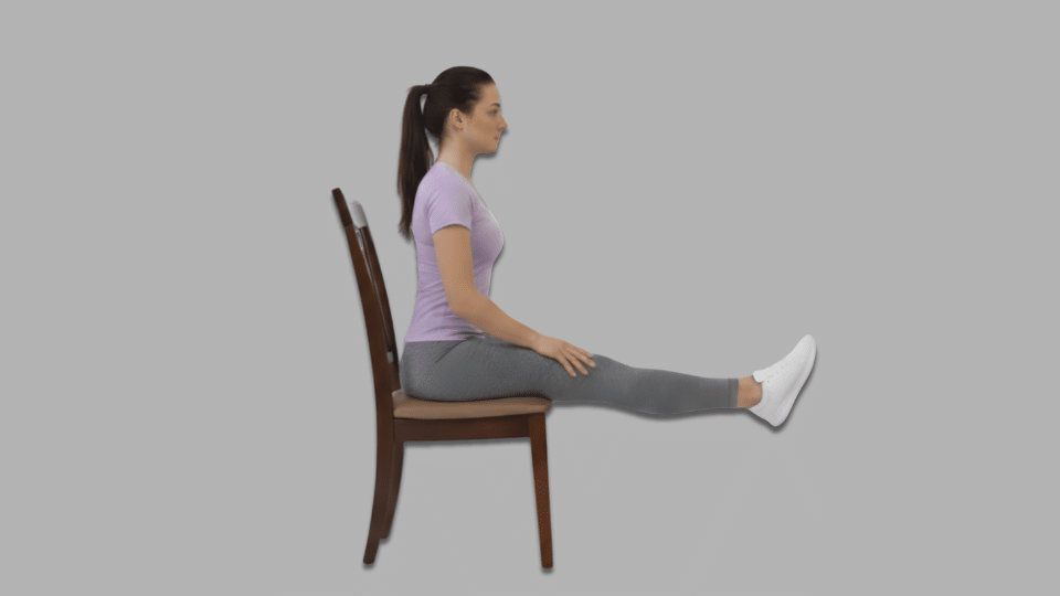 seated knee extensions