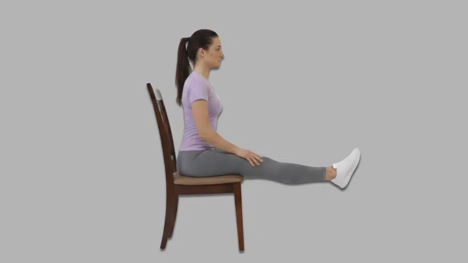 seated knee extensions