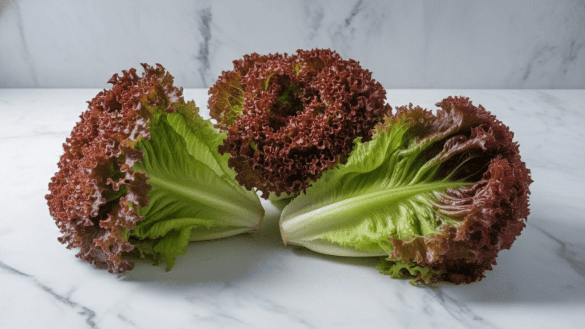three pices of red leaf lettuce in a white marble countertop in a kitchen with layers of the lettuce visible