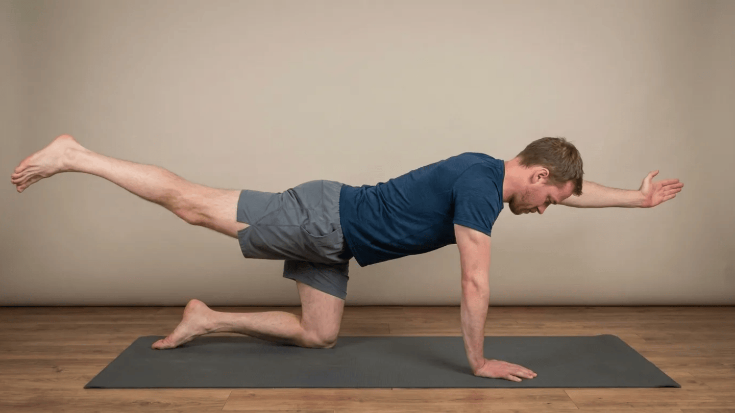 bird dog tabletop balance extending opposite arm and leg while keeping hips and shoulders stable for core control