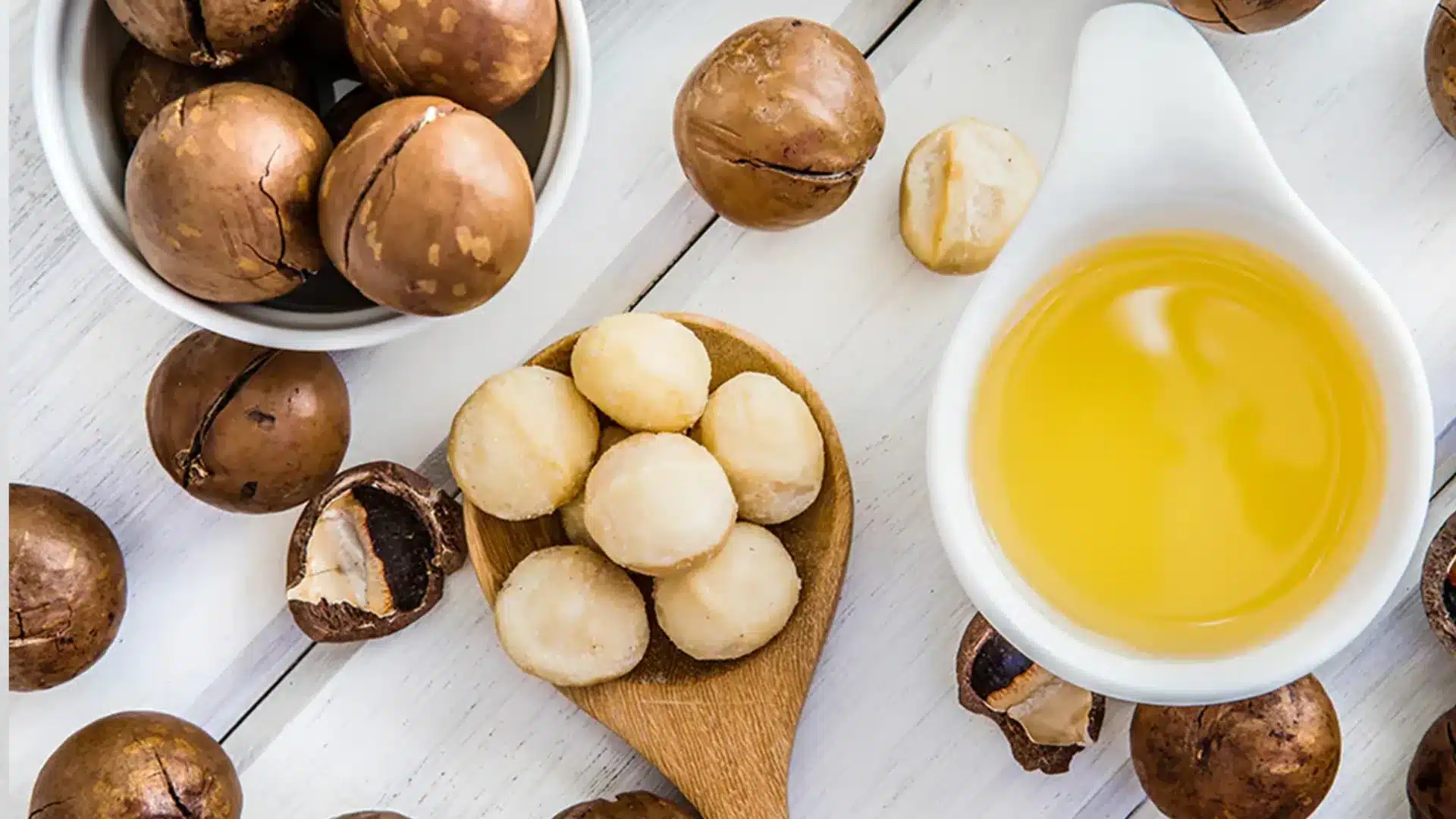 golden oil in a white bowl, surrounded by whole macadamia nuts in shells and shelled kernels