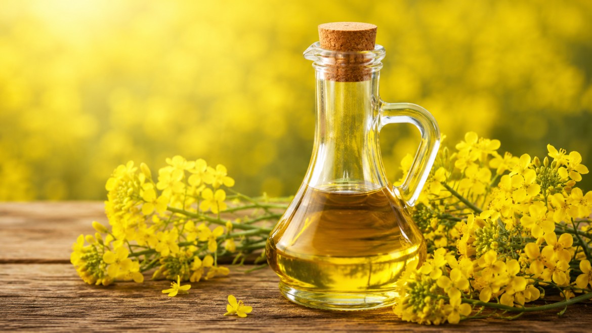 Glass bottle of canola oil, surrounded by bright rapeseed flowers against a softly blurred golden backdrop