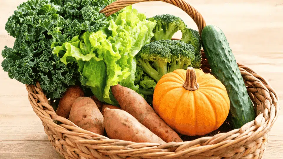 basket of fresh vegetables with kale, lettuce, broccoli, cucumber, pumpkin, and sweet potatoes