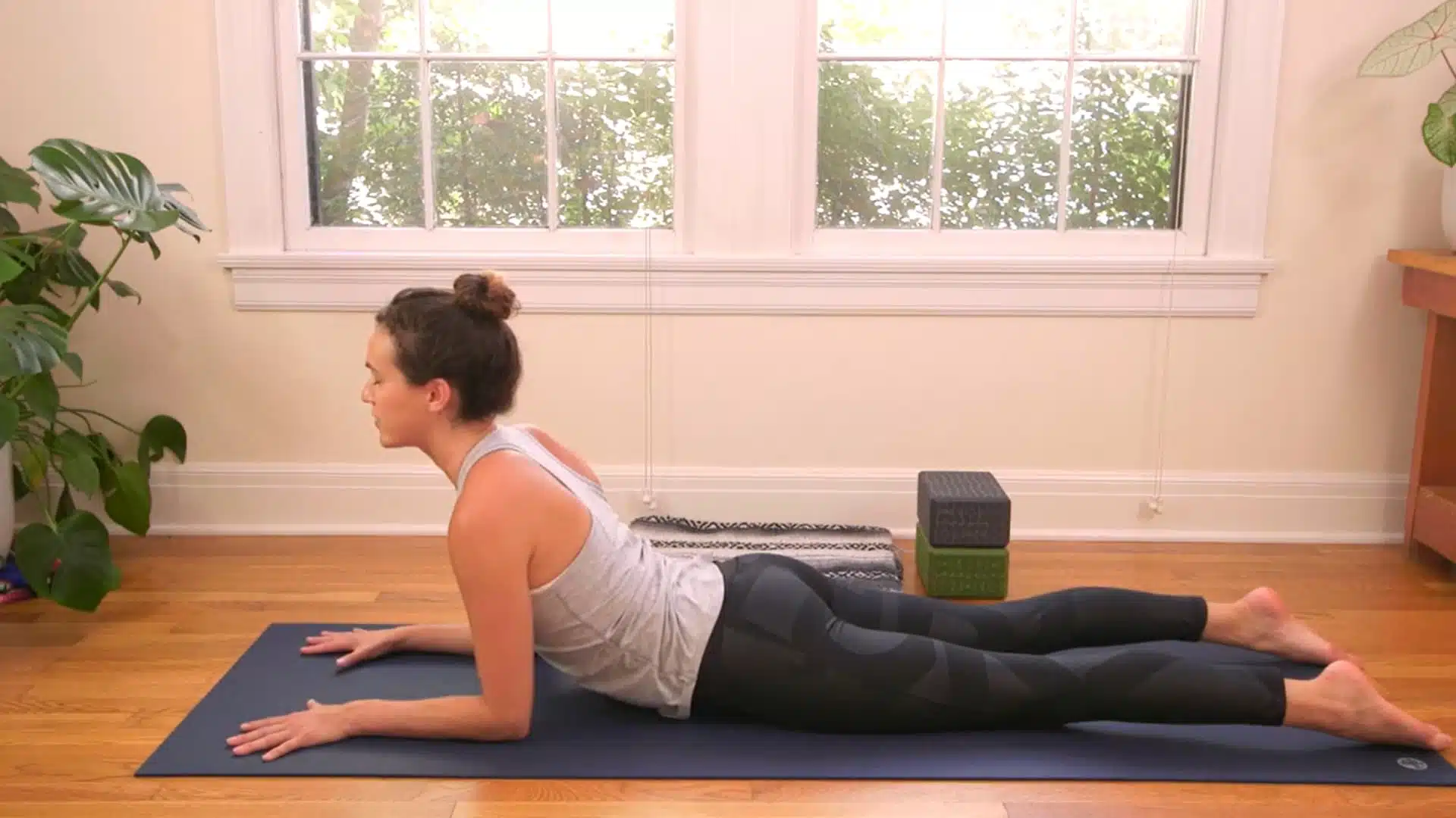 Sphinx pose preparing the spine for camel pose