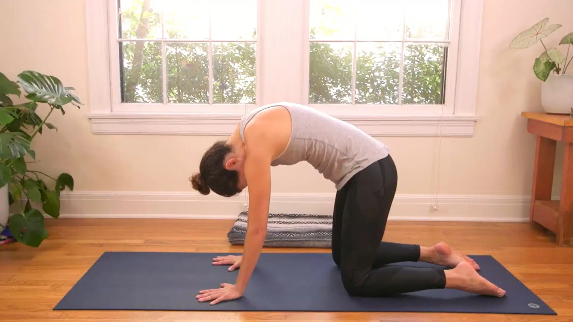 Cat-cow pose warm up for camel pose yoga